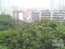 谢家湾 谢家湾正街一房41万