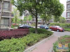 正阳二期新上两房两卫 楼层好 房东急售