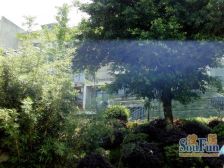 圣马寻常人家 2室2厅 南