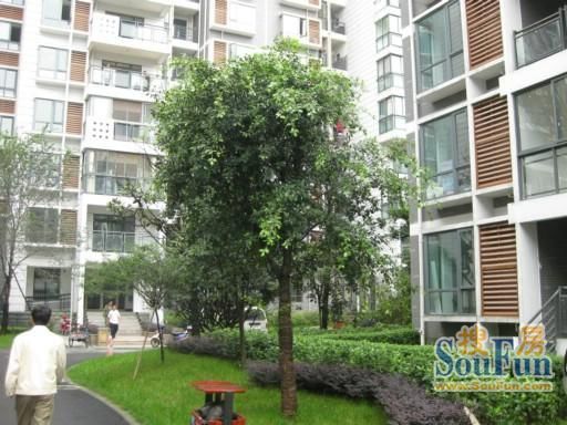 金色外滩实景图