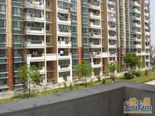 买一层加一层,飞机户型,位置安静,采光充足得房率高