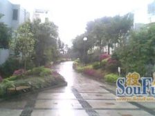 圣马精装两房诚心出售 享静谧人少