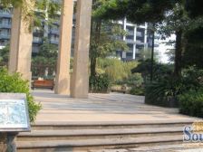 天骄峰景 5室1厅 南