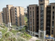 品质小区电梯小两房,出入方便,有个小露台三期2011年开