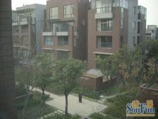 金地格林世界(布鲁斯郡) 4室2厅 南