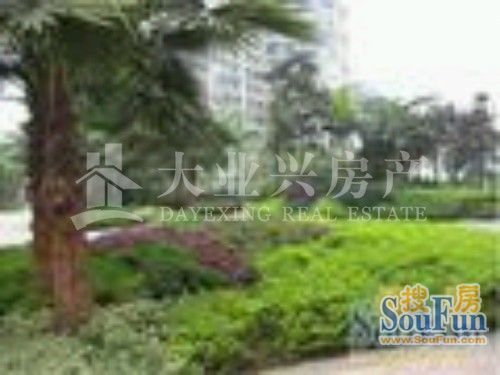 文化六村实景图