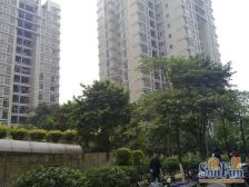 清华园 楼层好 正规三房 位置安静 采光好