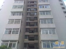 雁儿湾路 西地所 花园小区 电梯房一室一厅