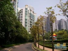 星河紫荆苑 单边位 毛坯带花园