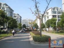 繁荣安居复式好房:5楼复6楼,双层空间,宜居优选