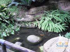 南山别院 精装修叠拼别墅下叠 拎包入住随时看房!