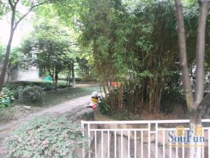 观澜半岛3室1厅南