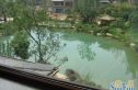 绿城西子青山湖玫瑰园实景图