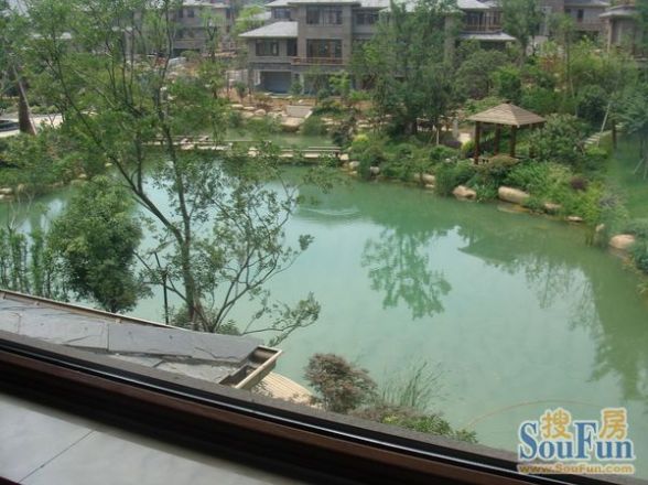 绿城西子青山湖玫瑰园实景图