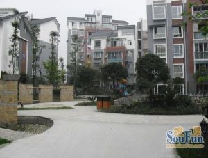 随园3室2厅西南