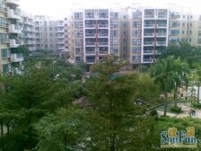 康城花园中层120方3房证够5年