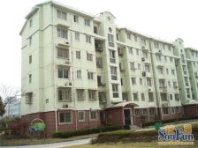 张江·古桐二村·3室·2厅