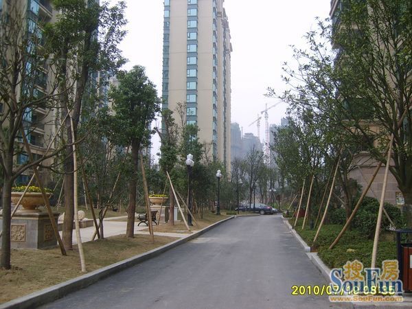 小区相关图