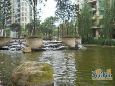 恒大城 4室1厅 东南 西北