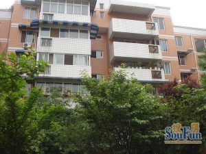 馨康花园3室2厅南