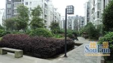 天府江南C区3室1厅西南