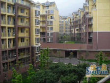 城北新区 金鼎龙泉A区四房185万