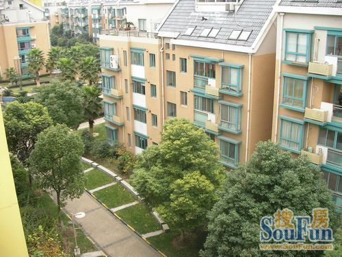 滨江雅苑实景图
