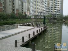 新城尚上城(商住) 2室1厅 南