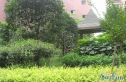 丽水金都实景图