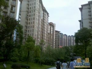 金星北墅区品质小区 玫瑰园 小高层 户型好 诚心出售