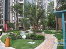 巨龙环岛国际社区 2室2厅 东南