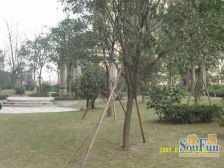 华润品质楼盘 双轻轨+万象城商圈 端头通气户型 无遮挡