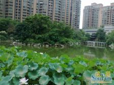 中高楼层 安静位置 视野开阔 户型方正实用