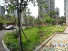 住家精装两房 户型方正 视野开阔