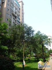 都城康欣园3室1厅南