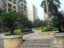 有啦,有啦!步梯两房,带独立花园约60方,南向