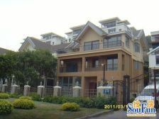 精装叠墅,三层,采光好,有露台,阳台,花园,拎包