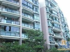 满五,低楼层,双南全明户型,采光通风都好