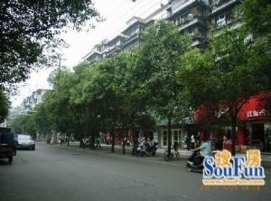 西体路2室1厅东南