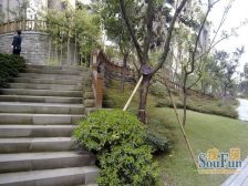 中铁电梯洋房 大平层 邱家湾地铁站 成熟地段