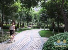 成都花园翠雍华庭2室1厅东