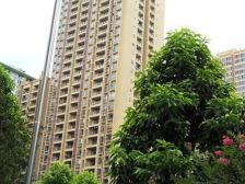 观音桥Cosmo 1室1厅 东南