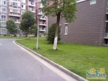 7号线地铁+环境优美+南北通透+到价签字