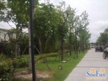 品质小区,价格好谈,业主急售,联排别墅