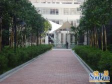 龙城国际 高楼层 装修新靓保养好