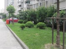 采光充足,配套完善,小区中心位置,交通便利