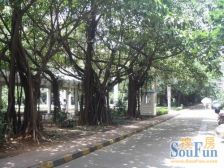 罕有的四房 双阳台设计 通风好视野佳