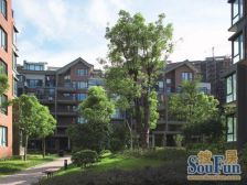 亲亲家园 无遮挡 稀有位置 送露台100多 实用大 低价急