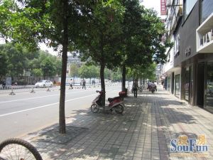 阳明路156号市委宿舍 南北通透,采光好 装修好,环镜优美 近地铁 视野好,诚心出售