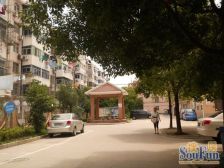 1.1大复式 新出新房源 小区一套